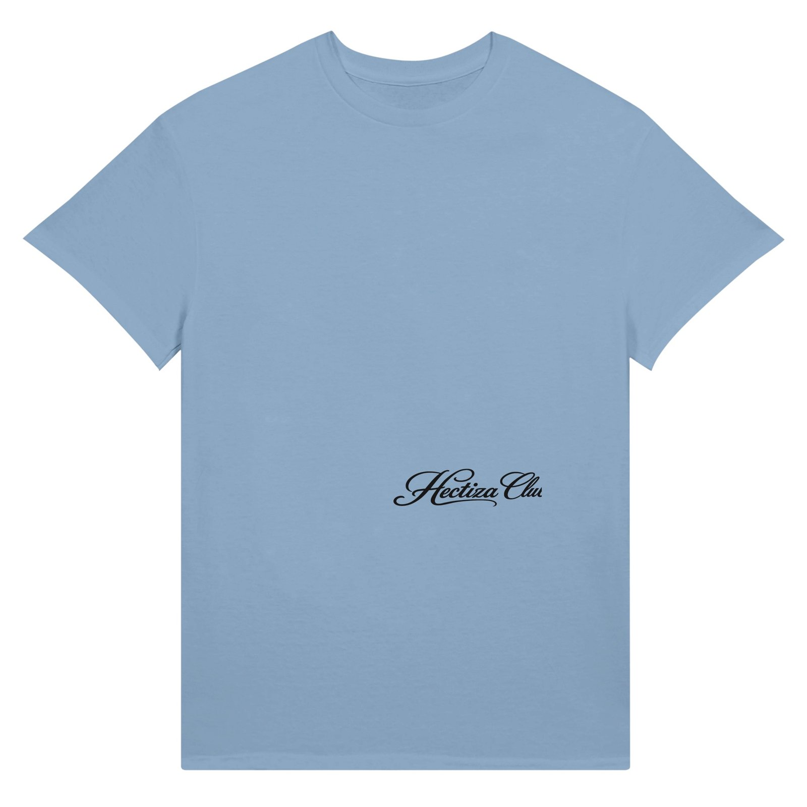 Ultra Cotton Unisex Crewneck T-shirt | Gildan 2000 Light Blue